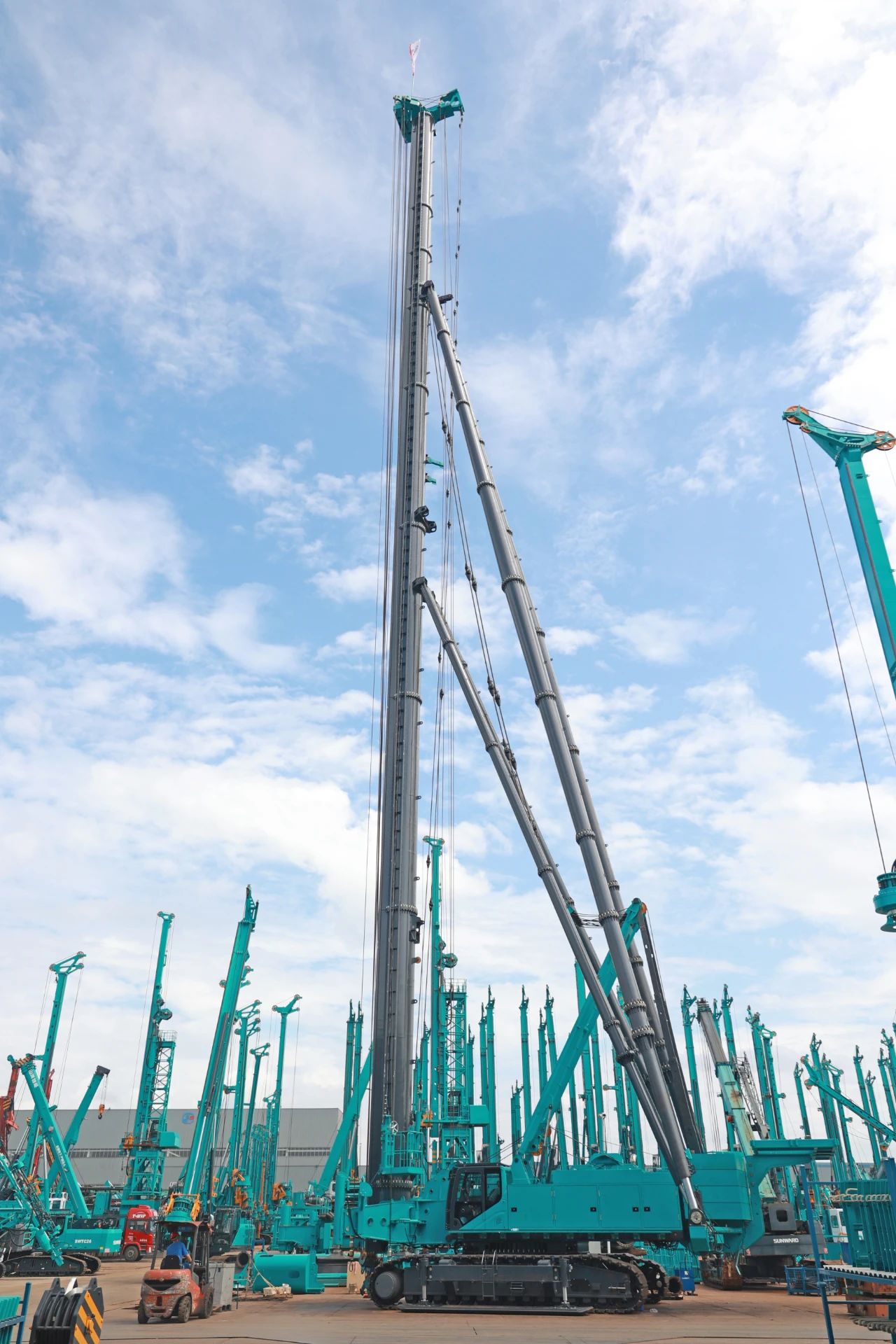 ��Ʒ���ˣ����ǹ��ɶԹ������ܳ���׮�������ѡȡ���ʤȯ