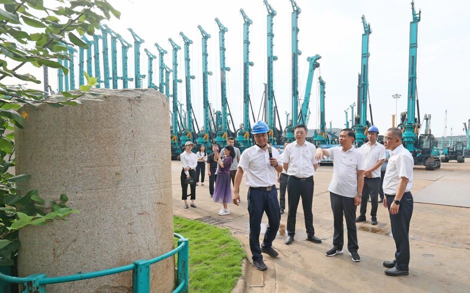 王国和调研糖果派对官网智能