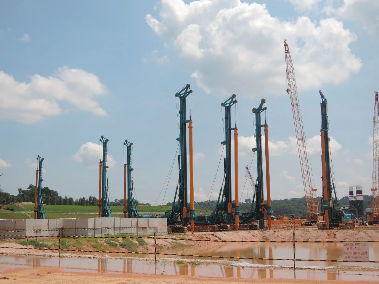 “糖果派对官网绿”绽放“一带一起”