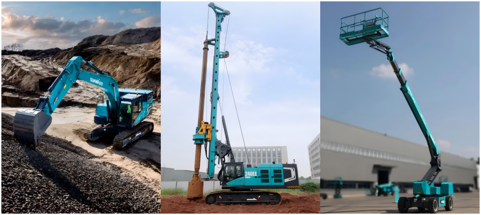 ֲ�����ؼ� | ������ɫ��̬���ǹ��ɶԹ�������Ϊ����䡰ֲ��