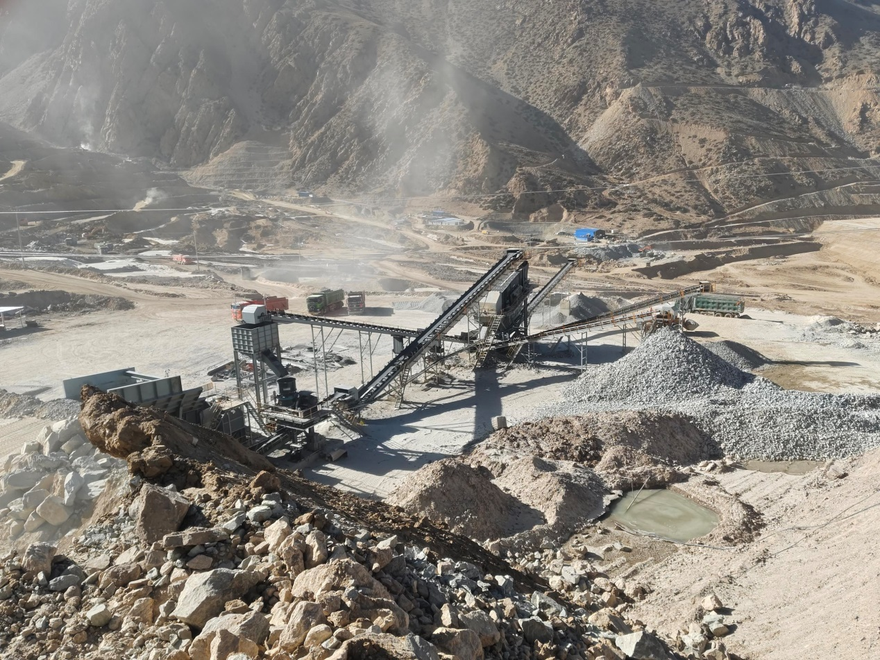 ����������ĵط�����һȺ�ǹ��ɶԹ�����������